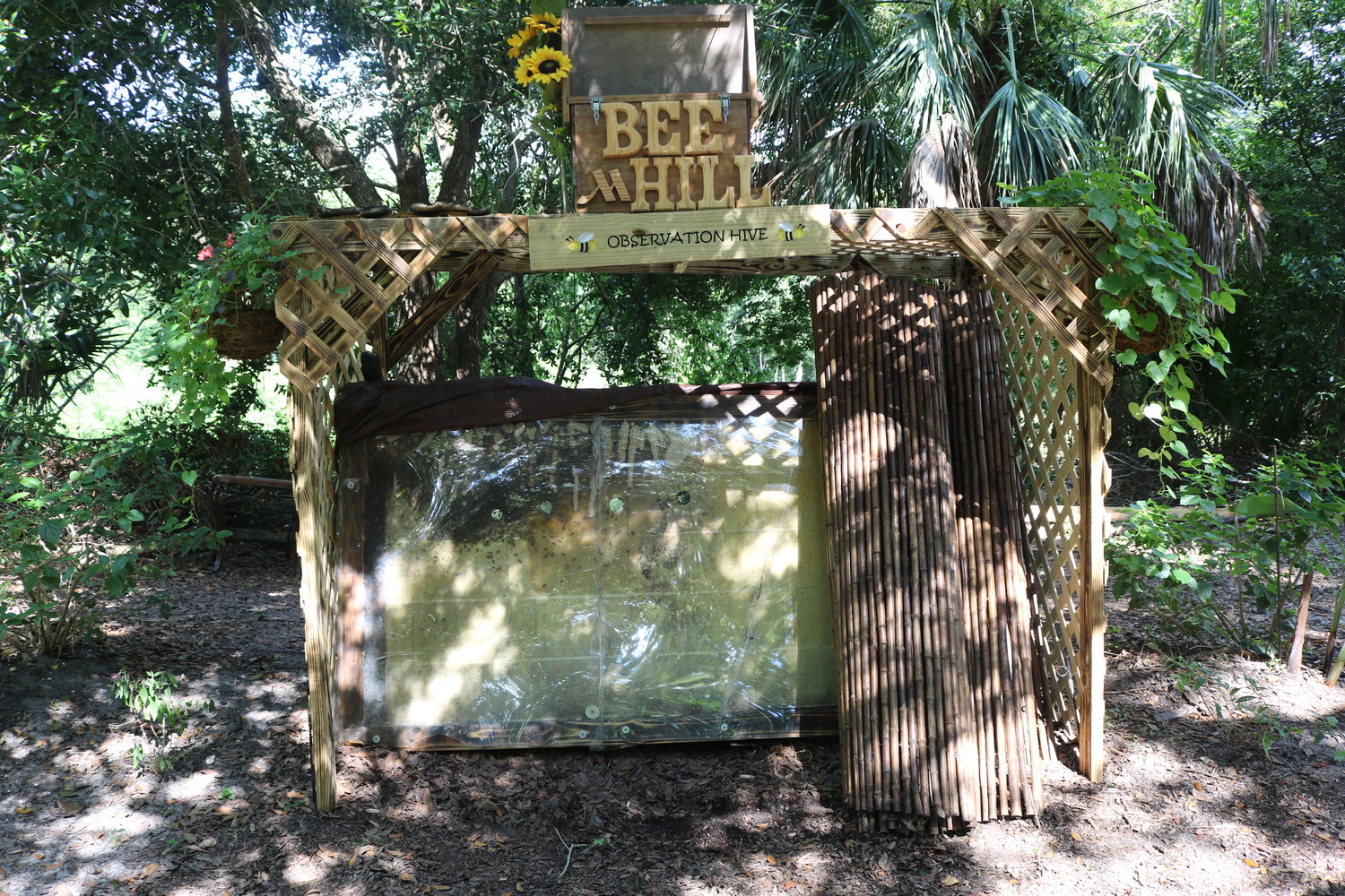 The Bee Hill Micro Farm at Sawgrass Marriott is home to 13 bee hives.